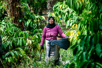 Women in Central Java Indonesia 